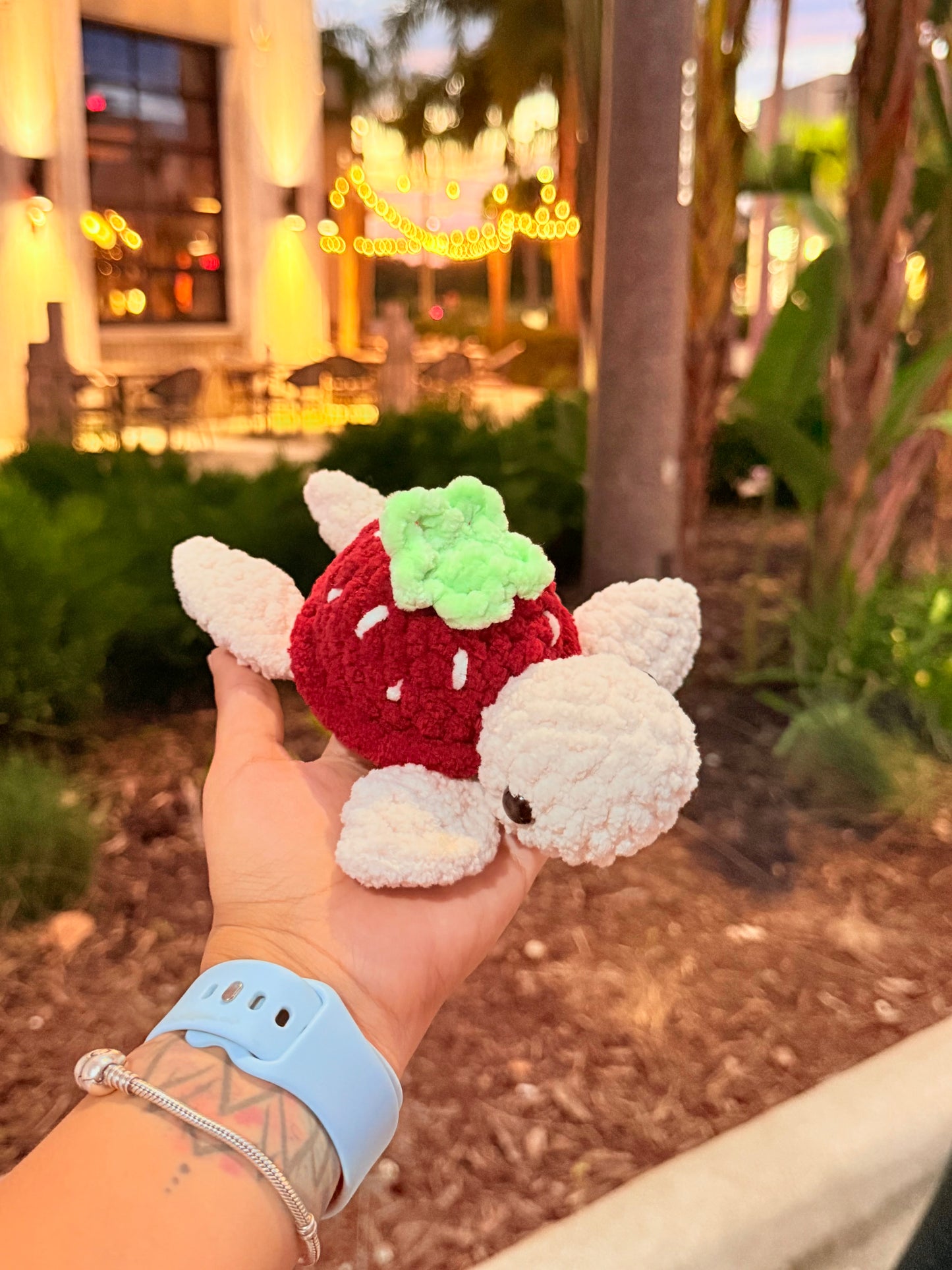 Fruit Turtle🐢🍓