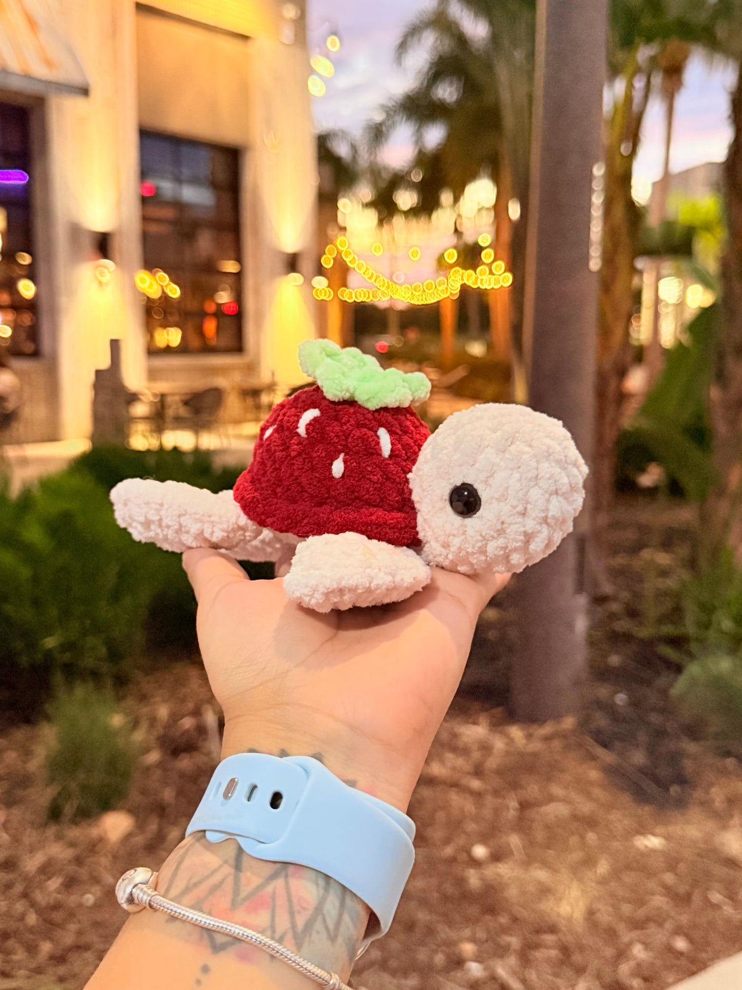 Fruit Turtle🐢🍓