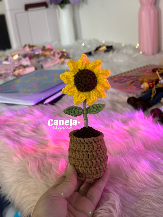 Mini sunflower🌻